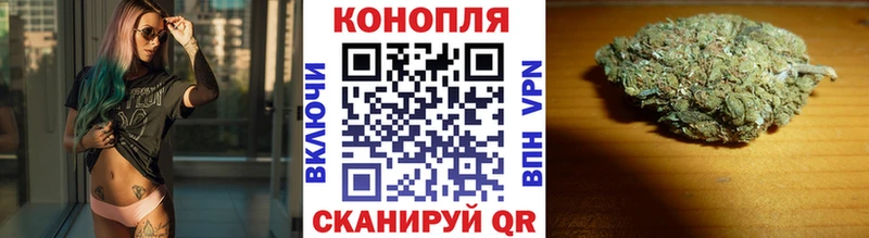 Бошки марихуана конопля  дарнет шоп  Нижний Новгород 